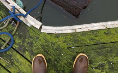 Dirty Sailor Company