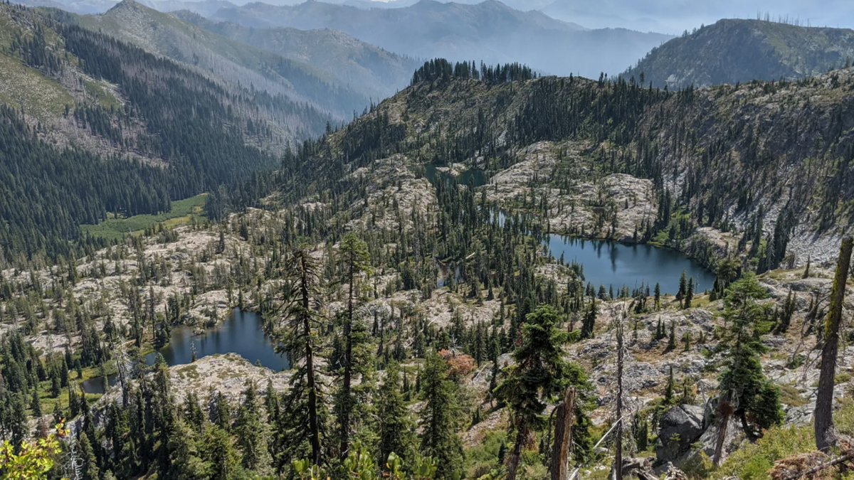The Tortuous Death of the Little Blue Granite Fish