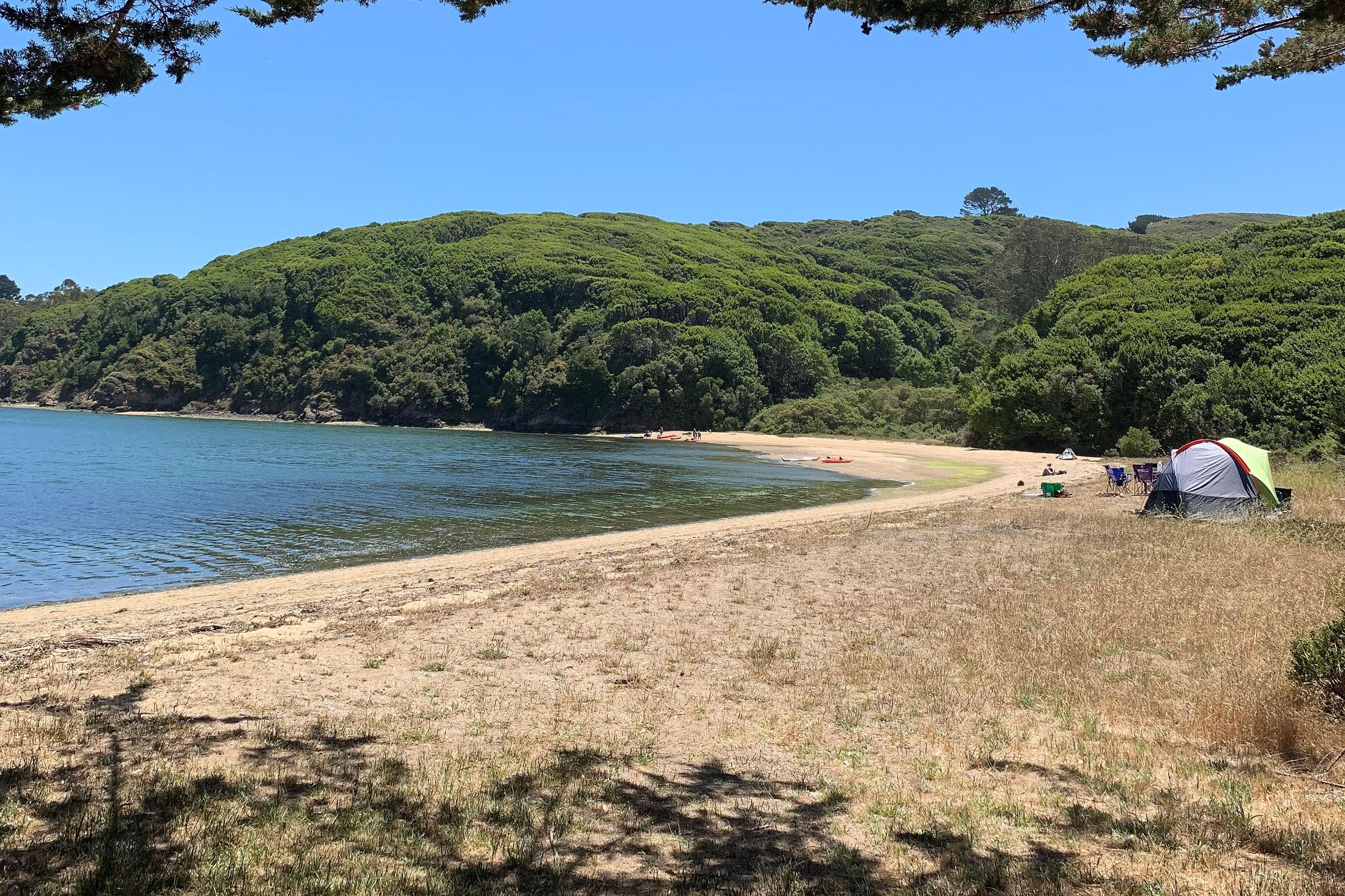 Tomales Bay Skat Tinder Date